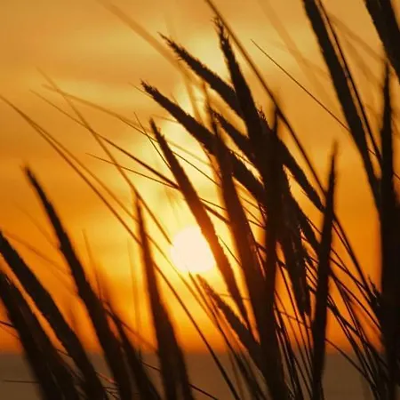 Miss Evans Macht Blau