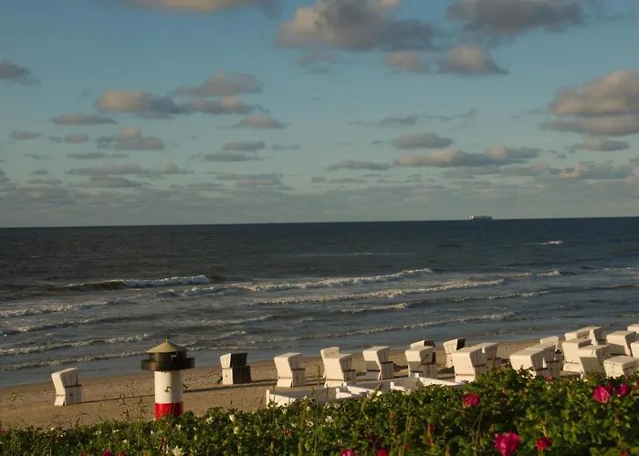 Miss Evans Macht Blau *