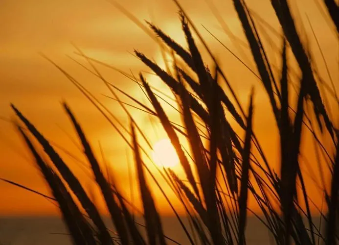 Miss Evans Macht Blau